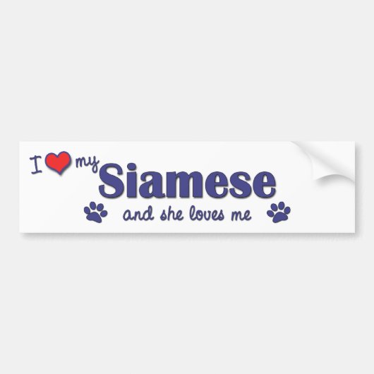 Ik hou van mijn Siamese (Vrouw kat) Bumpersticker (Voorkant)