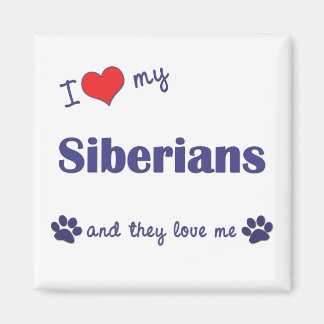 Ik hou van mijn Siberiërs (meerdere katten) Magneet