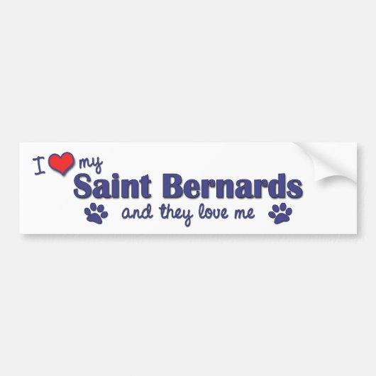 Ik hou van mijn Sint Bernards (meervoudige Honden) Bumpersticker (Voorkant)