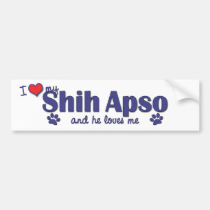 Ik hou van mijn sjiitische apso (mannelijke hond) bumpersticker