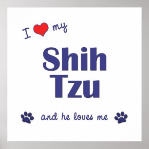 Ik hou van mijn sjiitische Tzu (mannelijke hond) Poster