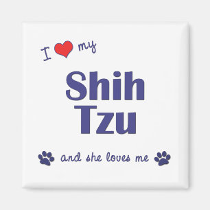 Ik hou van mijn sjiitische zu (Vrouw honden) Magneet