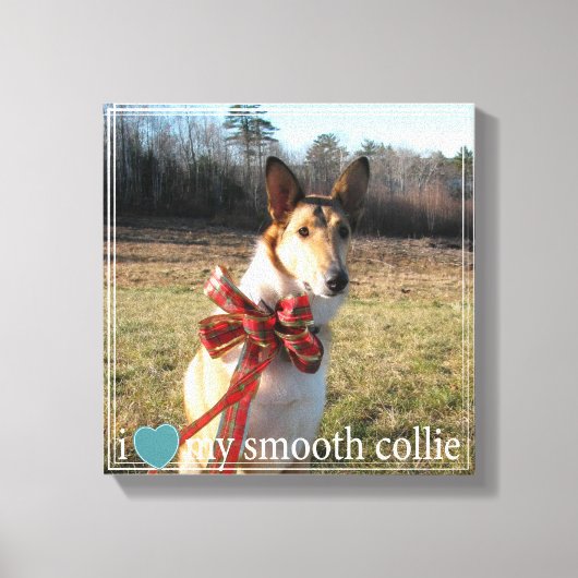 Ik hou van mijn Smooth Collie met geometrische ran Canvas Afdruk (Voorkant)