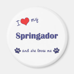 Ik hou van mijn Springador (Vrouw Dog) Magneet