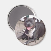 Ik hou van mijn staf magneet (Voorkant / Achterkant)