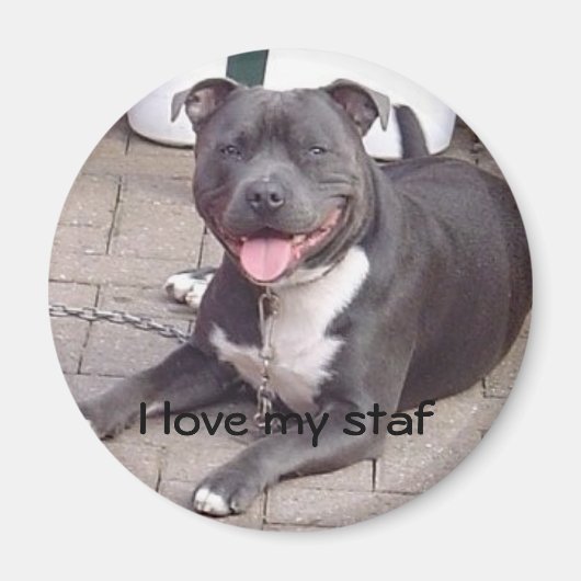 Ik hou van mijn staf magneet (Voorkant)