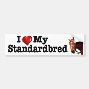 Ik hou van mijn standaard paardendecel bumpersticker