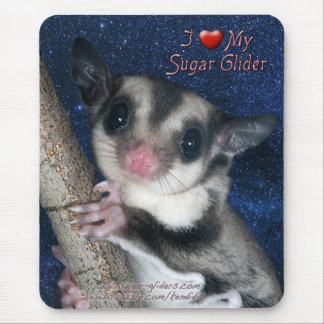 Ik hou van mijn Suikerzanger - Kutste Glider serie Muismat
