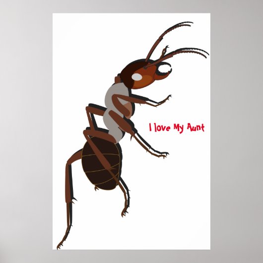 Ik hou van mijn tanteposter poster (Voorkant)