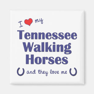 Ik hou van mijn Tennessee wandelpaarden (multi paa Magneet