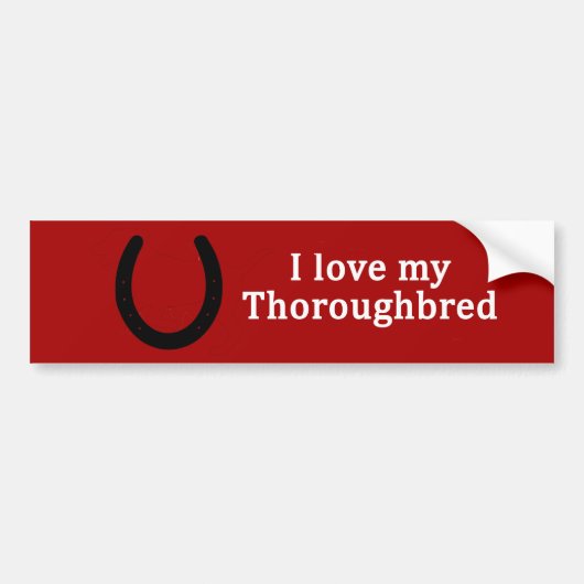Ik hou van mijn Thoroughbred Horse Bumpersticker (Voorkant)