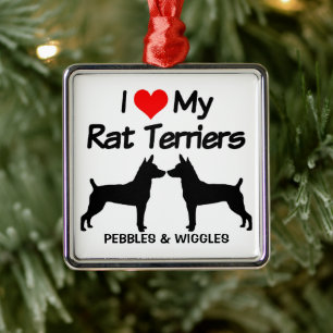 Ik hou van mijn twee terrier-honden metalen ornament