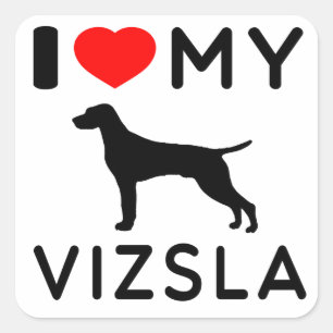 Ik hou van mijn Vizsla. Vierkante Sticker