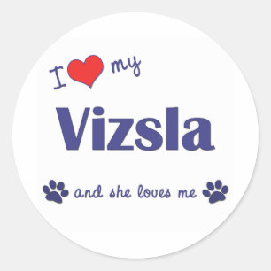 Ik hou van mijn Vizsla (Vrouw Dog) Ronde Sticker