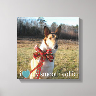 Ik hou van mijn Vloeiende Collie met Geometrische  Canvas Afdruk