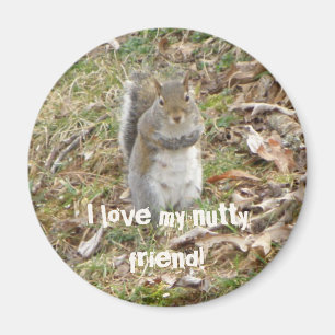 Ik hou van mijn vriendje, Squirrel Magnet
