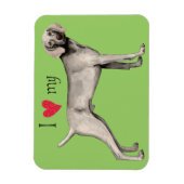 Ik hou van mijn Weimaraner Magneet (Verticaal)