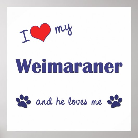 Ik hou van mijn weimaraner (mannenhond) poster (Voorkant)