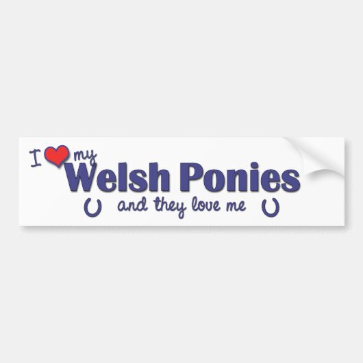 Ik hou van mijn Welsh Ponies (Multiple Ponies) Bumpersticker (Voorkant)