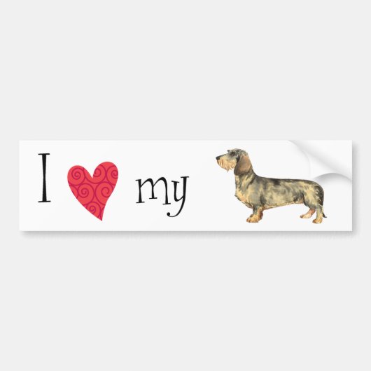 Ik hou van mijn Wirehaire Dachshund Bumpersticker (Voorkant)