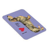 Ik hou van mijn Wirehaire Dachshund Magneet (Rechterzijde)