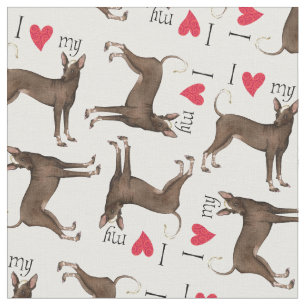 Ik hou van mijn Xolo Stof