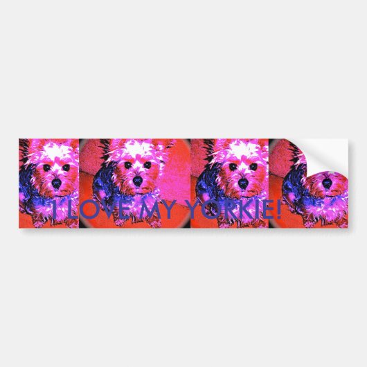 IK HOU VAN MIJN YORKIE!  Bumpersticker (Voorkant)