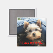 Ik hou van mijn Yorkie Magneet (Voorkant / Achterkant)