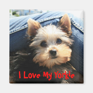 Ik hou van mijn Yorkie Magneet