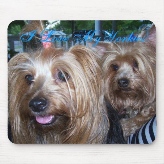 Ik hou van mijn Yorkies Muismat (Voorkant)