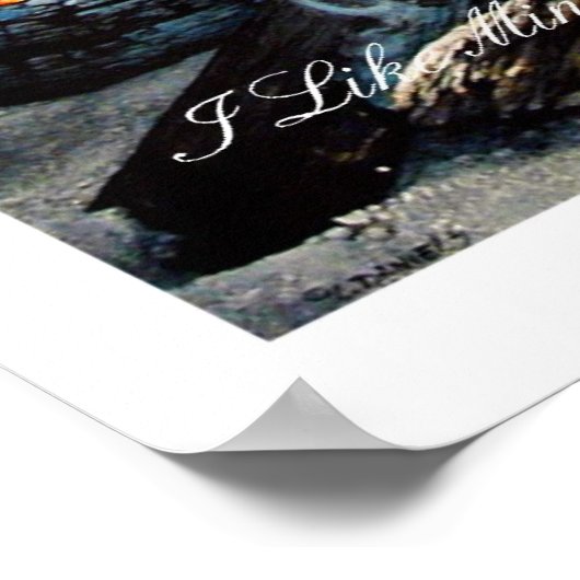 Ik hou van mijn zeldzame haring poster (Hoek)