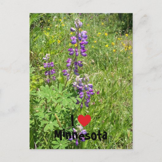 Ik hou van Minnesota Briefkaart (Voorkant)