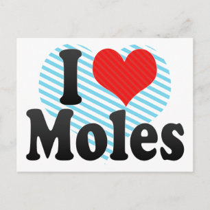Ik hou van Moles Briefkaart