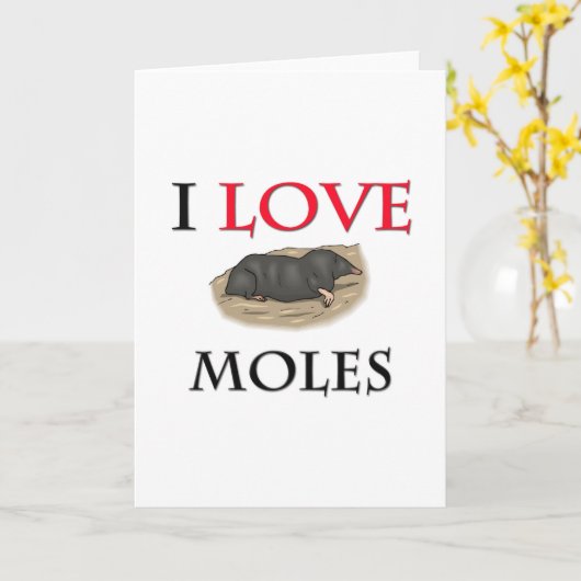 Ik hou van Moles Kaart (Gele Bloem)