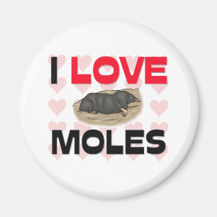 Ik hou van Moles Magneet