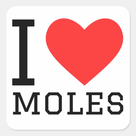 Ik hou van mollen vierkante sticker (Voorkant)