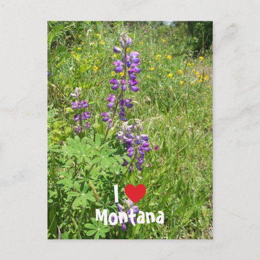 Ik hou van Montana Briefkaart (Voorkant)