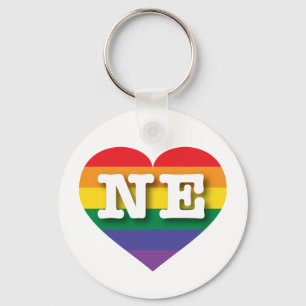 Ik hou van Nebraska Rainbow Heart Sleutelhanger