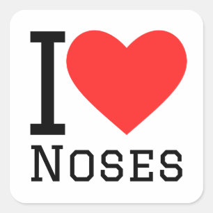 Ik hou van neuzen vierkante sticker