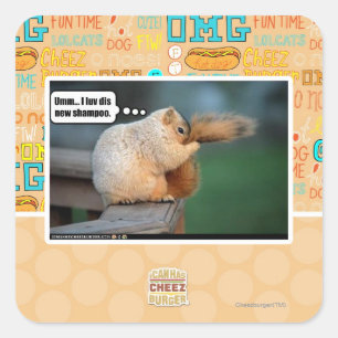 Ik hou van nieuwe shampoo vierkante sticker