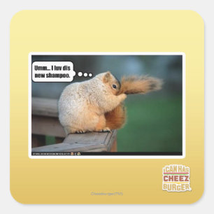 Ik hou van nieuwe shampoo vierkante sticker