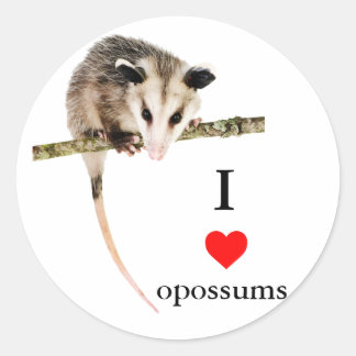 Ik hou van Opossums Sticker
