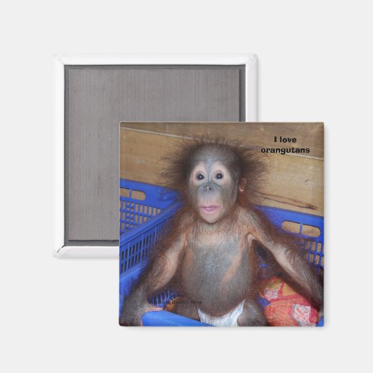 Ik hou van orangutanen magneet (Voorkant / Achterkant)
