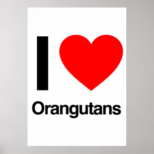 ik hou van orangutanen poster
