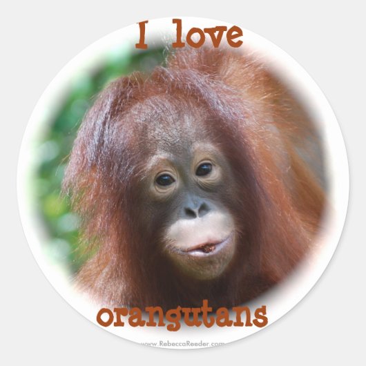 Ik hou van orangutanen ronde sticker (Voorkant)