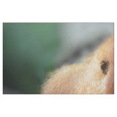 Ik hou van Orangutans Stof (Fat Quarter)