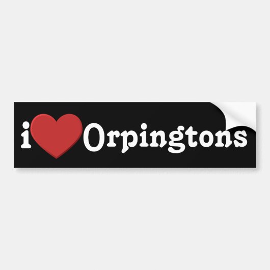 Ik hou van Orpingtons Bumpersticker (Voorkant)