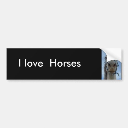 Ik hou van Paarden bumper sticker (Voorkant)