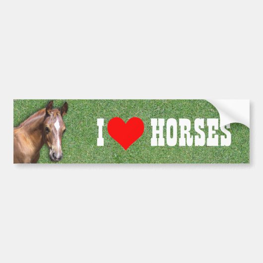 Ik hou van paarden bumpersticker (Voorkant)