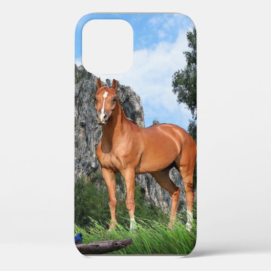 Ik hou van paarden Case-Mate iPhone case (Achterkant)